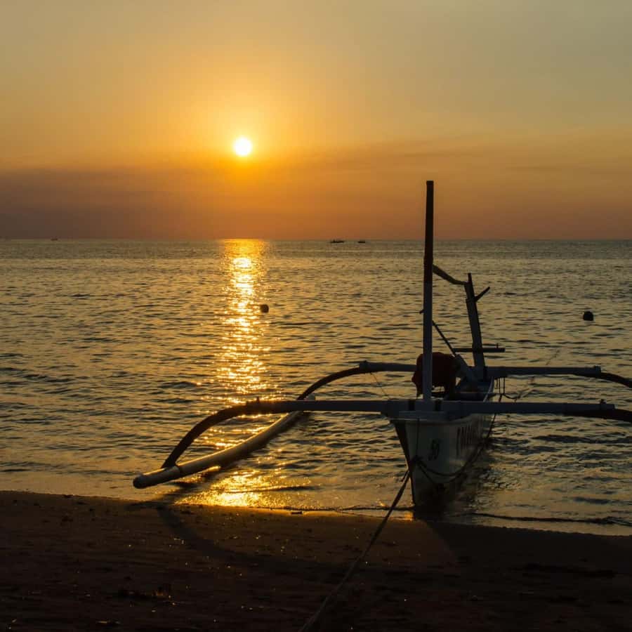 Bali Bliss: Dolphin Lovina Private Expedition - Who will enjoy this day, and who may not