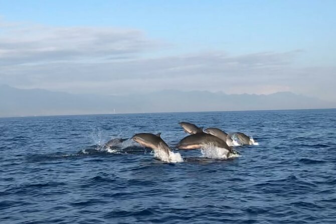 Bali Dolphin Lovina tour and Ulundanu Beratan - Setting out from Kuta at 3:30 am