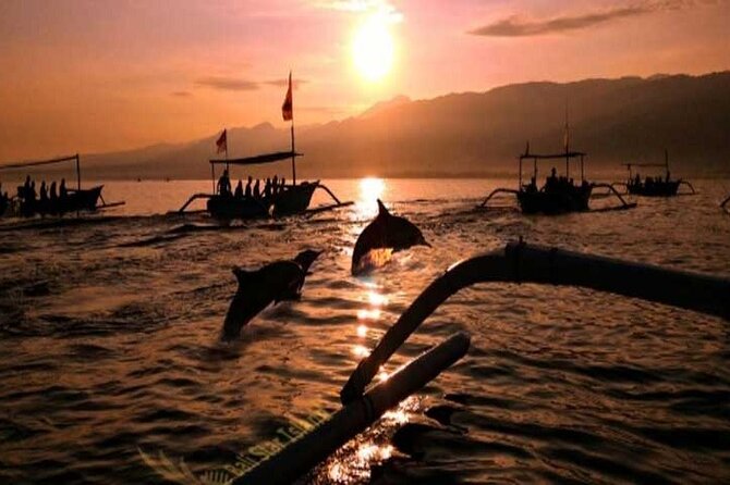 Bali Dolphin Lovina tour and Ulundanu Beratan - Who will enjoy this Bali day trip?