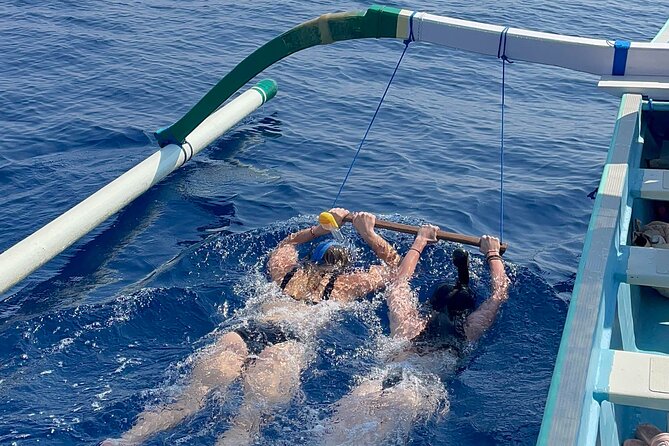Bali : Dolphin Sunrise Experience Tour Private All Inclusive - Why the Lovina sunrise deserves the early alarm