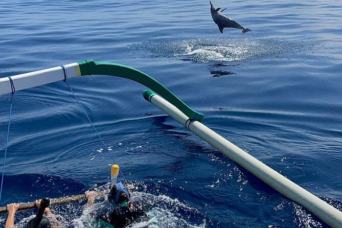 Bali : Dolphin Sunrise Experience Tour Private All Inclusive - Is $33 good value for this North Bali day?