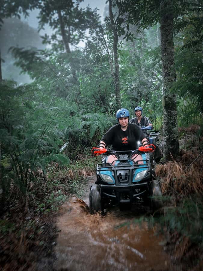 Bali: Dolphin Swimming Tour with ATV Quad Bike & Waterfall - Guides, vehicles, and the human side of the day