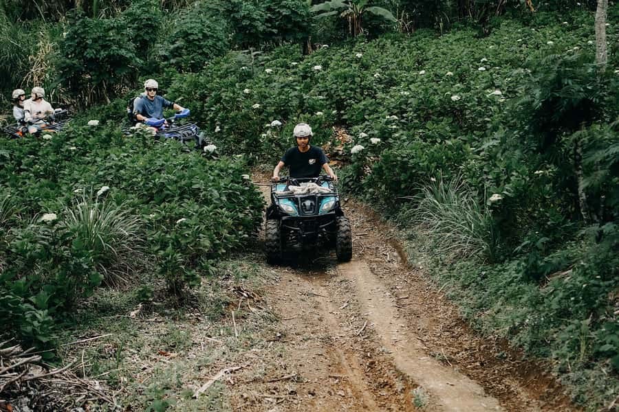 Bali: Dolphin Swimming Tour with ATV Quad Bike & Waterfall - Is $81 good value?