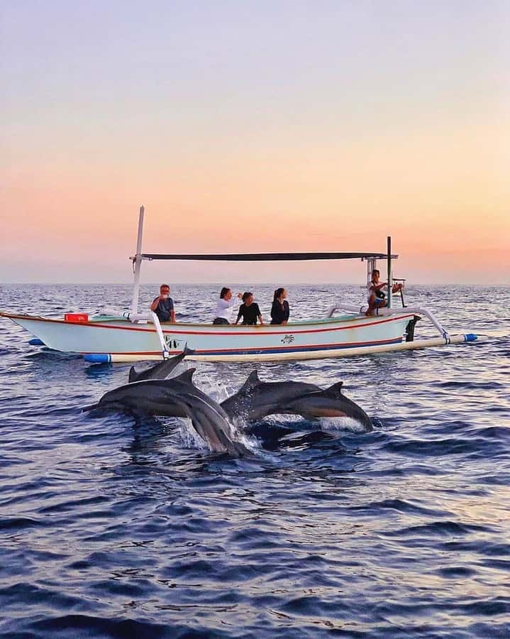 Bali: Dolphin Watching, Snorkeling, and Munduk Day Tour - Lovina snorkeling and swimming