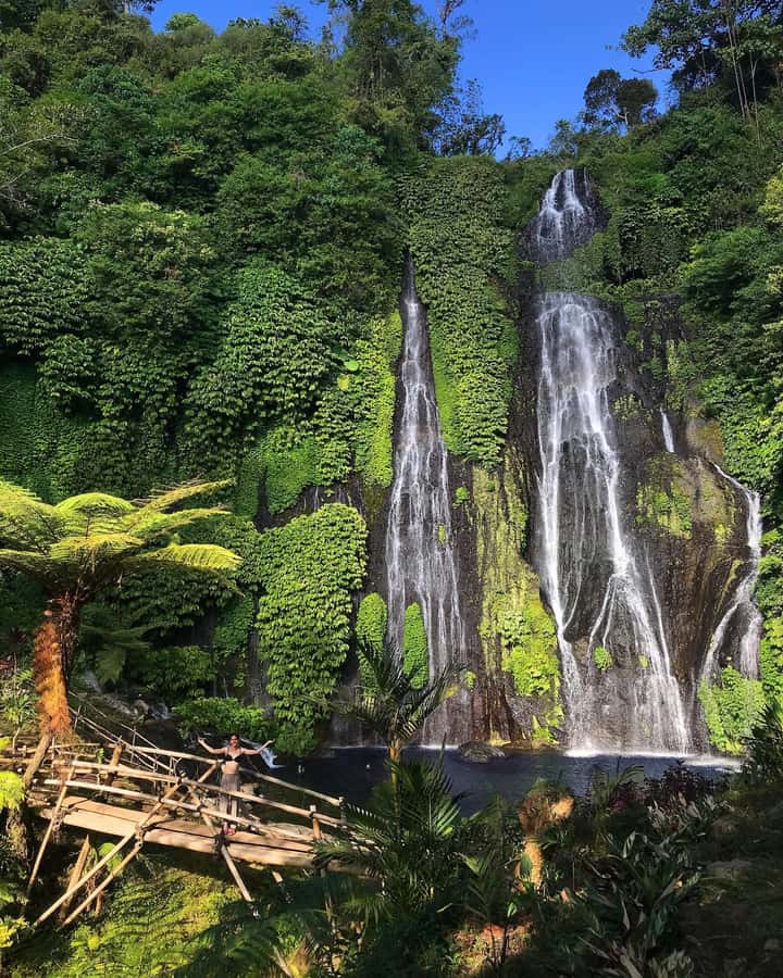 Bali: Dolphin Watching, Snorkeling, and Munduk Day Tour - Hiking to Banyumala Twin Waterfalls