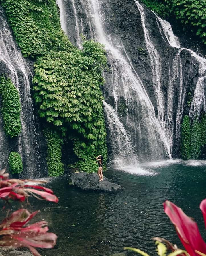 Bali: Dolphin Watching, Snorkeling, and Munduk Day Tour - Your guide, car, and private schedule