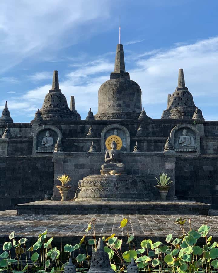 Bali: Dolphin Watching, Snorkeling, and Munduk Day Tour - Who should book this Bali day tour?