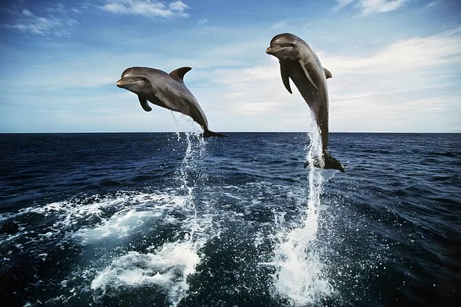Bali Dolphin Watching Sunrise Tour in Lovina Beach - Gitgit Waterfall after the dolphins