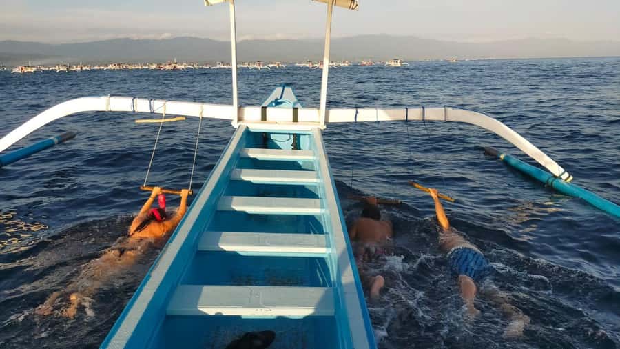 Bali: Lovina dolphin adventure with breakfast and snorkling. - Why sunrise is the right time for Lovina dolphins