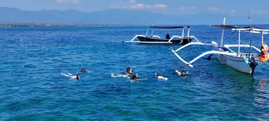 Bali: Lovina dolphin adventure with breakfast and snorkling. - The boat-assisted swim with dolphins nearby