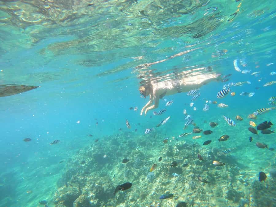Bali: Lovina dolphin adventure with breakfast and snorkling. - Adding Banyumala Twin Waterfalls