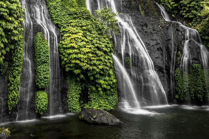 Bali Lovina Dolphin and North Bali Sightseeing - All Inclusive - Wanagiri Hill for lake views and photos