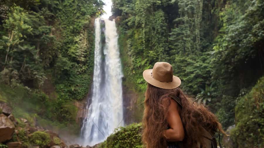 Bali/Lovina: Dolphin Snorkeling, Swimming & Waterfall Tour - Key points at a glance
