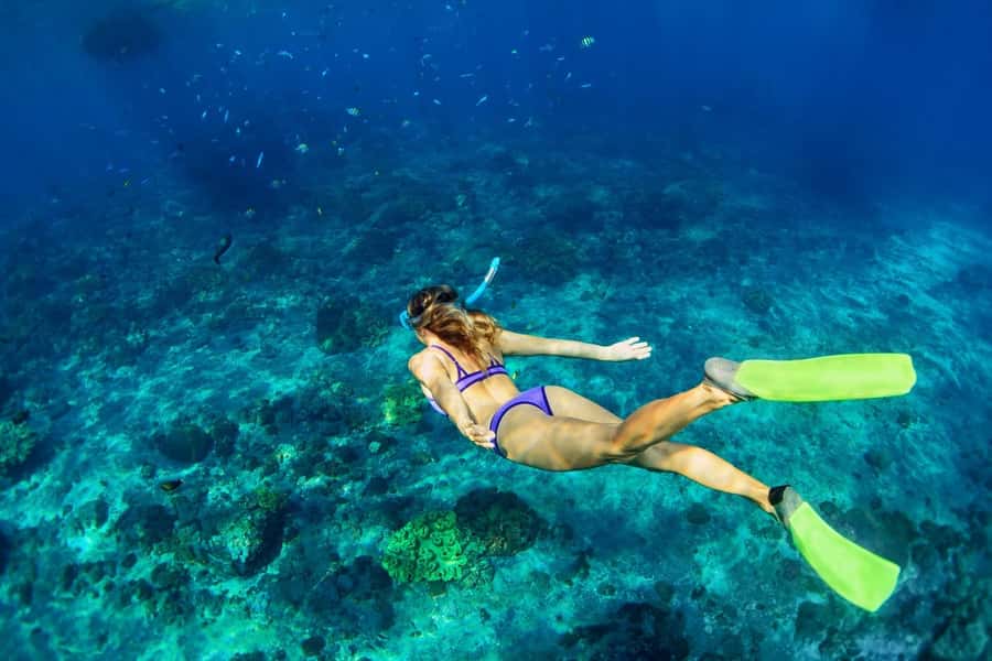 Bali/Lovina: Dolphin Snorkeling, Swimming & Waterfall Tour - Practical tips for a smoother morning