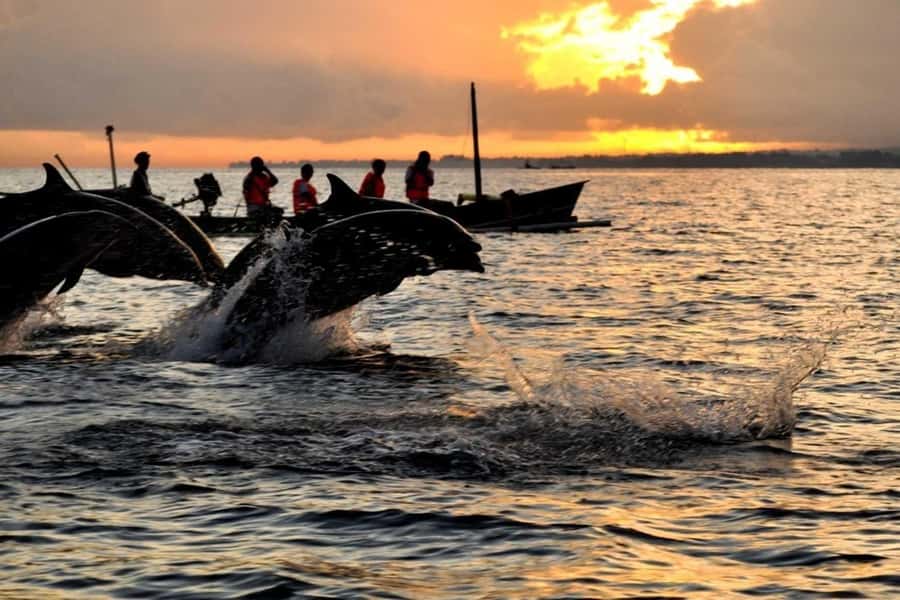 Bali/Lovina: Dolphin Snorkeling, Swimming & Waterfall Tour - Setting out from Lovina before sunrise