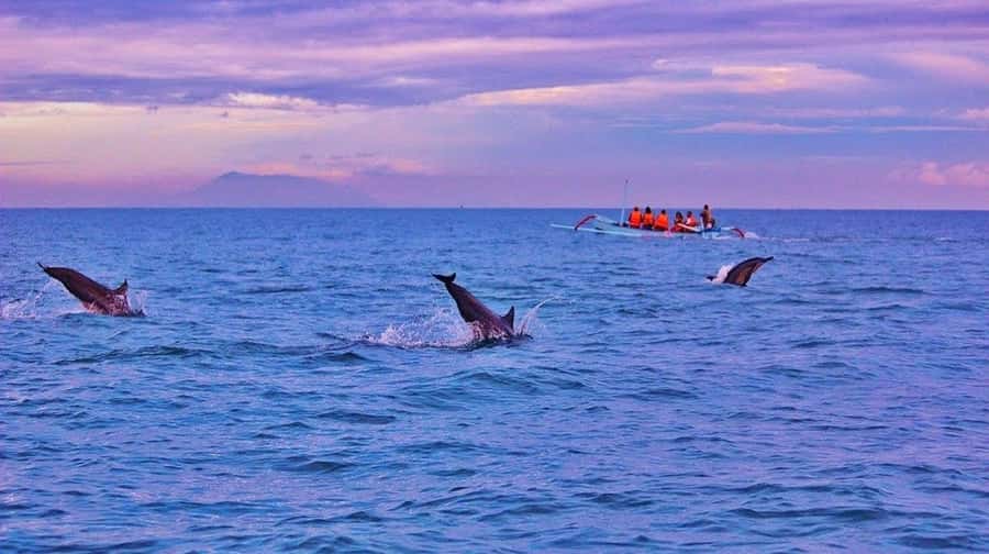 Bali/Lovina: Dolphin Snorkeling, Swimming & Waterfall Tour - Adding Git Git Waterfall after the boat