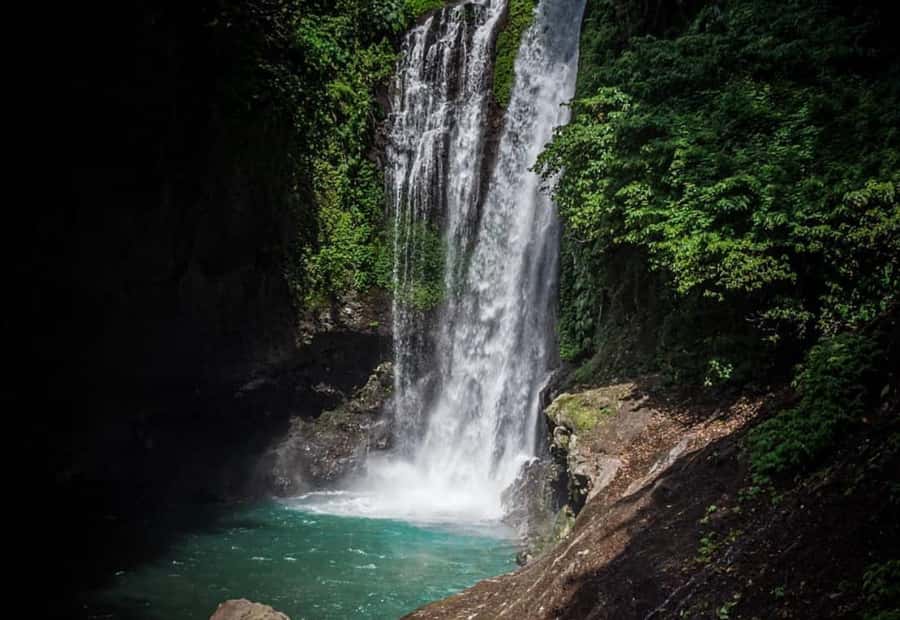 Bali/Lovina: Dolphin Snorkeling, Swimming & Waterfall Tour - What the $19 price really covers