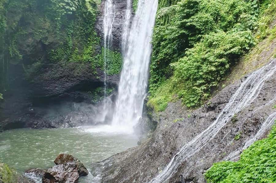 Bali/Lovina: Dolphin Snorkeling, Swimming & Waterfall Tour - Who will enjoy this early start