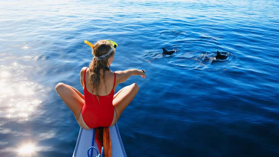 Bali/Lovina: Dolphin Snorkeling, Swimming & Waterfall Tour - Watching dolphins in the morning light