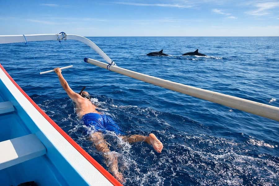 Bali/Lovina: Guided Dolphin Watching & Sunrise Boat Snorkel - Key points to know before booking