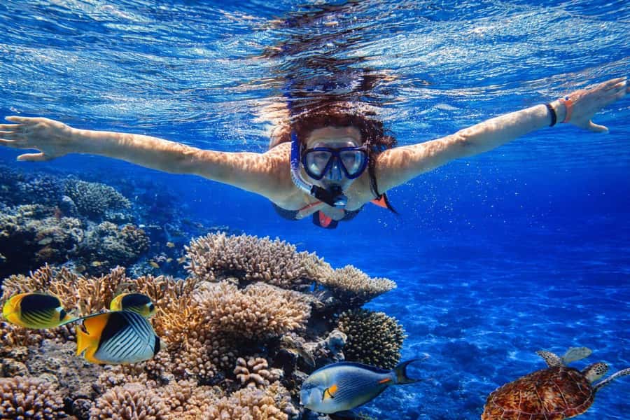 Bali/Lovina: Guided Dolphin Watching & Sunrise Boat Snorkel - Getting to Lovina from other parts of Bali
