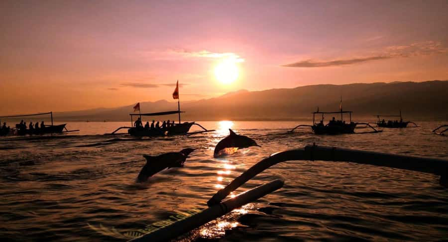 Bali: Lovina Swimming With Dolphine & Snorkeling Tour - Seeing dolphins in their natural setting