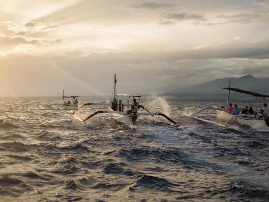 Bali: Swimming with dolphin & waterfal tour, all inclusive. - Should you book this Bali tour?