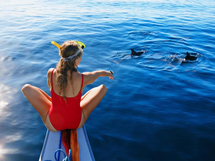 Bali: Swimming with dolphin & waterfal tour, all inclusive. - A pre-dawn start from Ubud, Denpasar, or Kuta