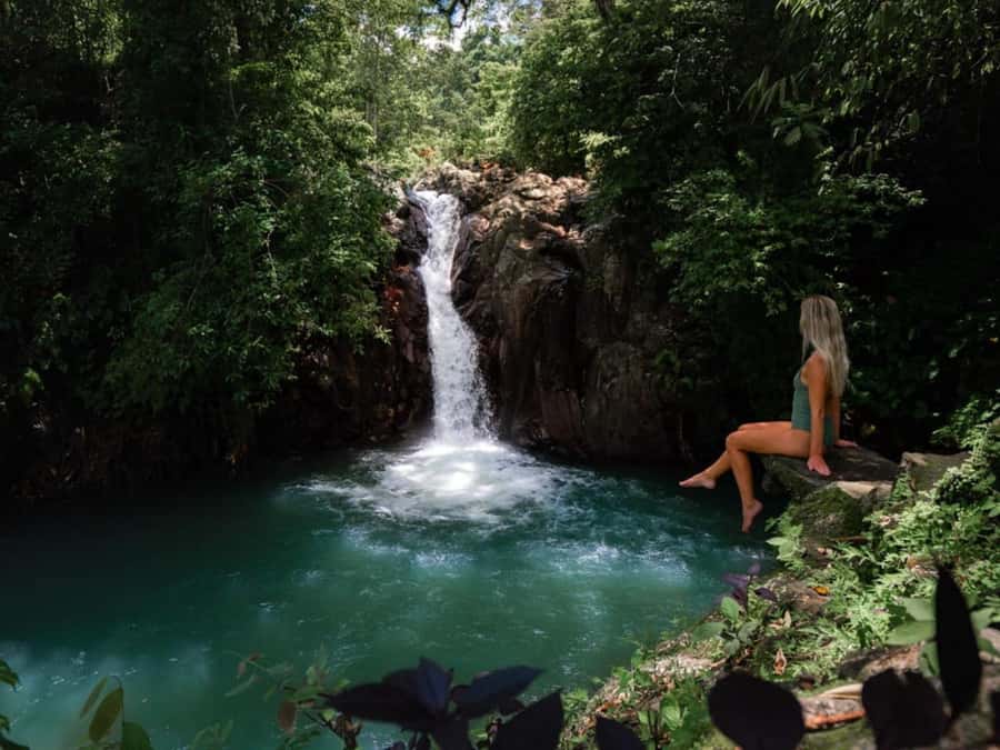 Bali: Swimming with dolphin & waterfal tour, all inclusive. - Aling Aling Waterfall brings the day back to nature