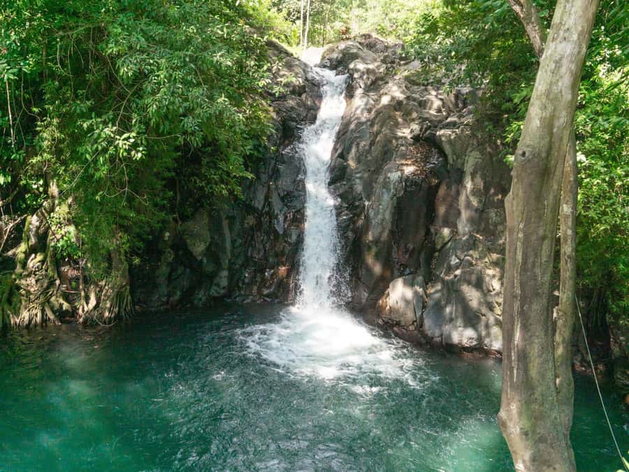 Bali: Swimming with dolphin & waterfal tour, all inclusive. - What the Lovina Beach dolphin trip is really like