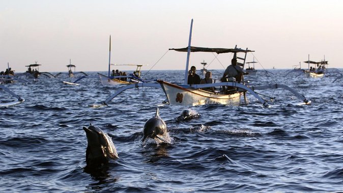 Bali Watching Dolphin at Lovina Beach & aling aling waterfall - The 3:30 a.m. departure from Seminyak