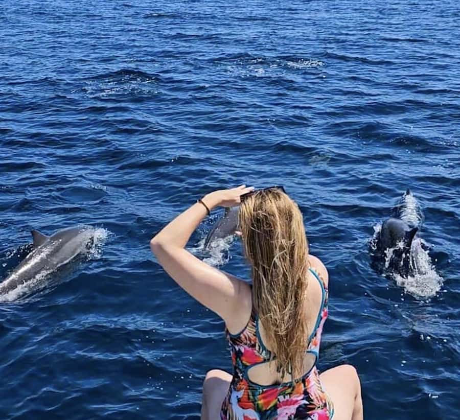 Bali: Watching Dolphin, Swimming & Snorkeling Tour - Snorkeling Over Coral and Colorful Fish