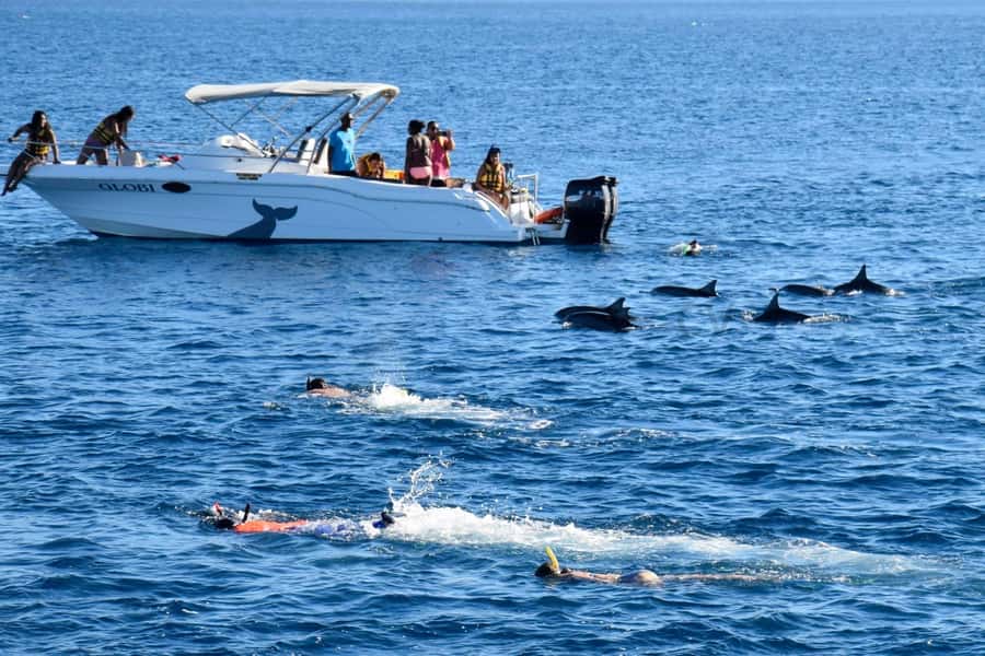 Bali: Watching Dolphin, Swimming & Snorkeling Tour - The Ride Back to Lovina Beach
