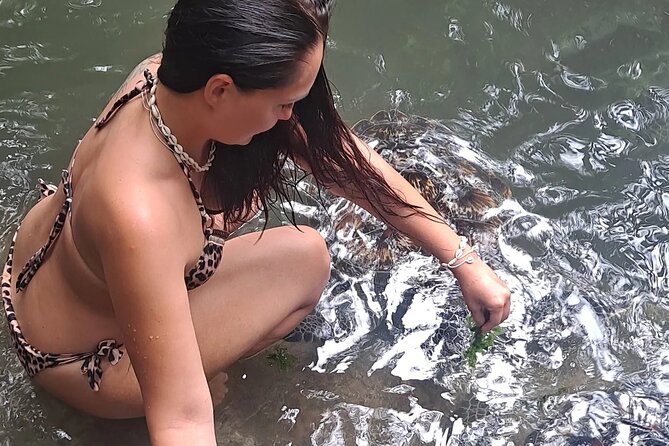 Baraka Aquarium and Dolphin Sightseeing with Sunset Cruise - Three Zanzibar sea experiences in one day