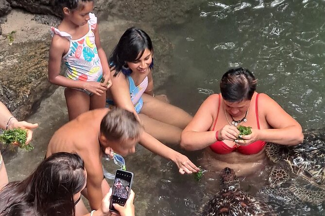 Baraka Aquarium and Dolphin Sightseeing with Sunset Cruise - Starting at Baraka Natural Aquarium in Nungwi