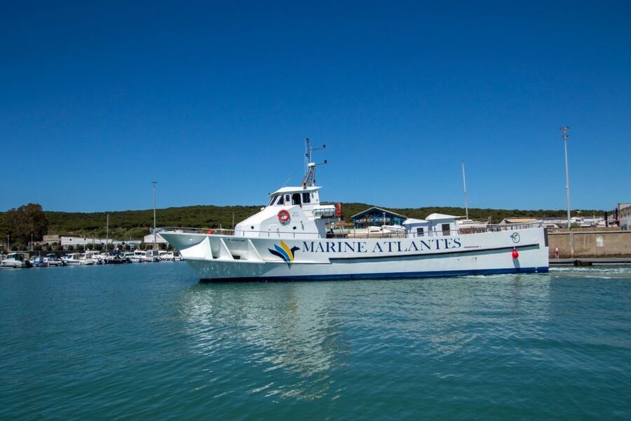Barbate: Dolphin and Whale Watching in Cape Trafalgar - Setting out from Barbate marina