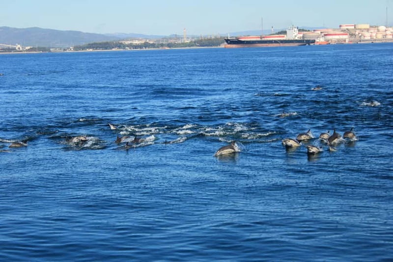 Bay of Gibraltar: Dolphin Cruise - Leaving Marina Bay near Ocean Village