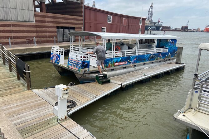 Baywatch Dolphin Tours – Pier 21 Galveston - Looking for dolphins in Galveston Harbor