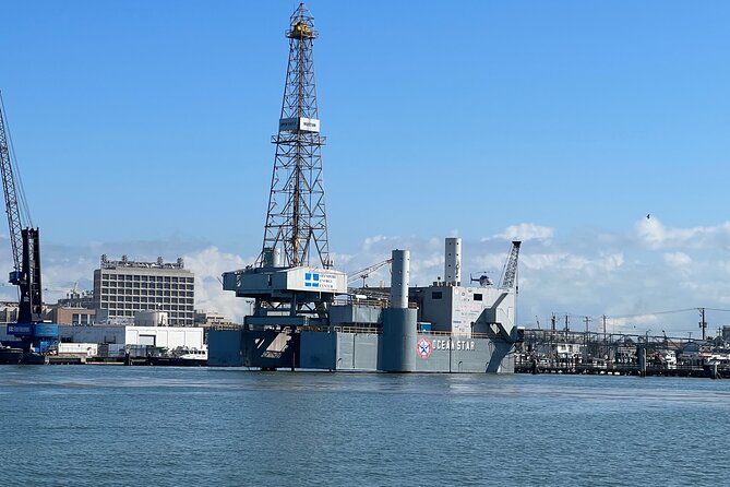 Baywatch Dolphin Tours – Pier 21 Galveston - More than dolphins: ships, stories, and harbor views