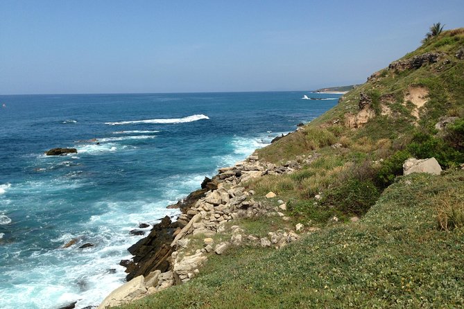 Beaches Dolphins And Viewpoints Discovering The Hidden Port By Sea And Land - Local stories, food, and mezcal