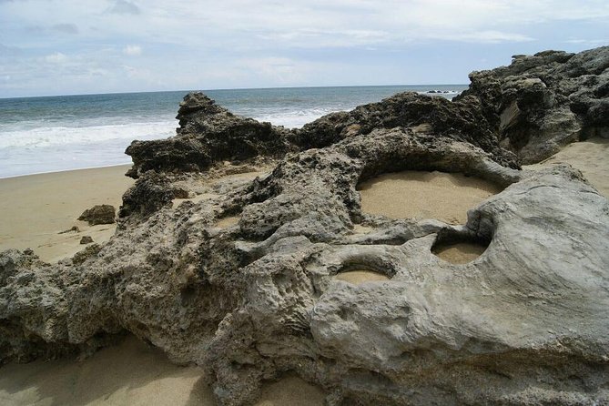 Beaches Dolphins And Viewpoints Discovering The Hidden Port By Sea And Land - Who should book this Puerto Escondido outing?