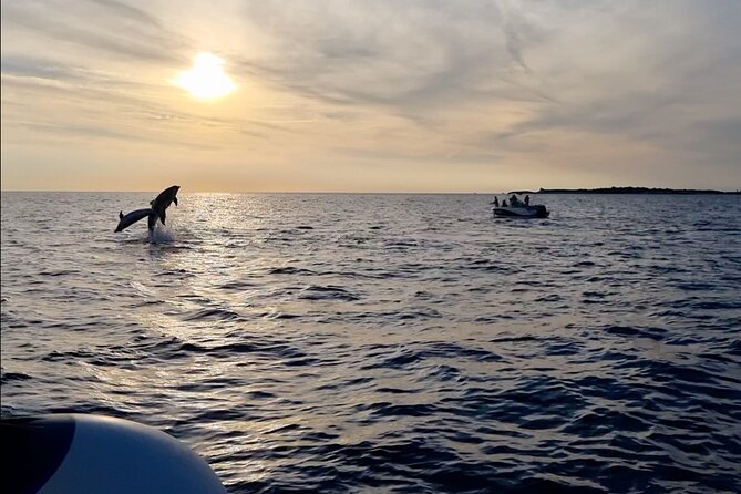 Beautiful Sunset and Dolphin Watching - Leaving Fažana for Brijuni’s open water