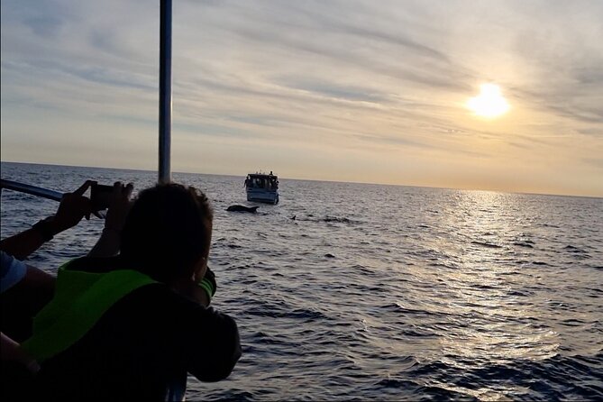Beautiful Sunset and Dolphin Watching - The sunset is more than a backup plan