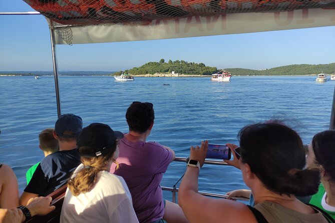 Beautiful Sunset and Dolphin Watching - Onboard comfort, drinks, and group size