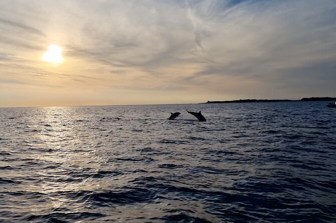 Beautiful Sunset and Dolphin Watching - Who should book this sunset cruise?
