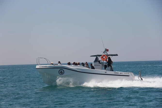 Benagil And Dolphins Tour - Price, timing, and comfort
