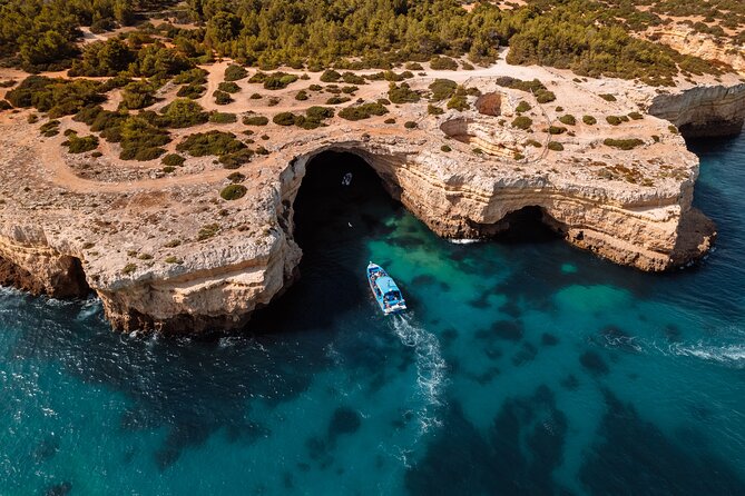 Benagil Caves and Dolphin Watching - 2.5h - Searching the Atlantic for dolphins