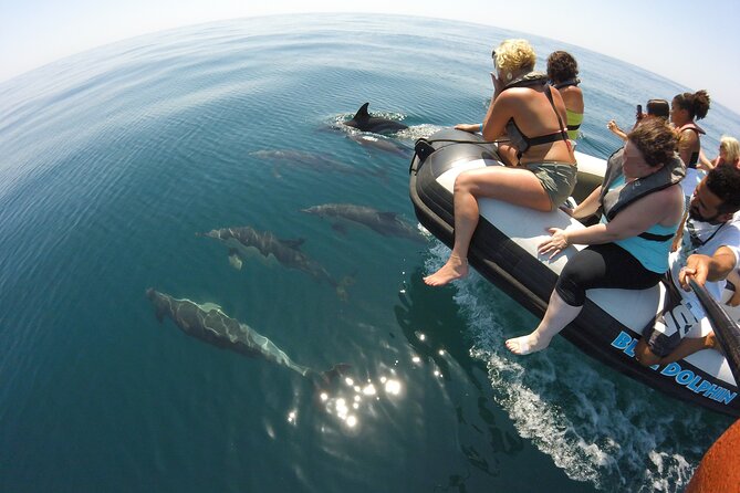 Benagil Caves and Dolphins from Albufeira - What this Albufeira boat trip actually includes