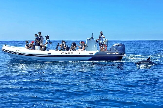 Benagil Caves Visit with Dolphins Watching from Albufeira - Why this two-hour Albufeira trip works so well