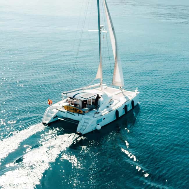Benalmádena: Catamaran with dolphin watching and drinks - Key points to know before booking